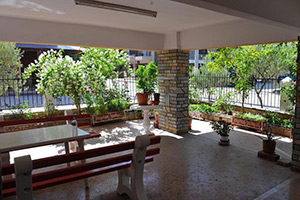 Apartments Dimitra - Dionisiou Beach - Halkidiki - Greece