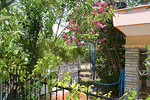 Apartments Dimitra - Dionisiou Beach - Halkidiki - Greece