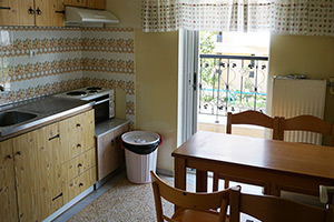 Apartments Dimitra - Dionisiou Beach - Halkidiki - Greece