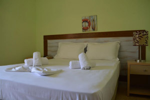 Apartments Dimitra - Dionisiou Beach - Halkidiki - Greece
