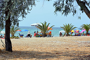 Apartments Dimitra - Dionisiou Beach - Halkidiki - Greece