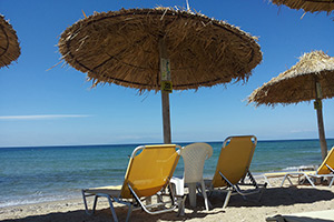 Apartments Dimitra - Dionisiou Beach - Halkidiki - Greece