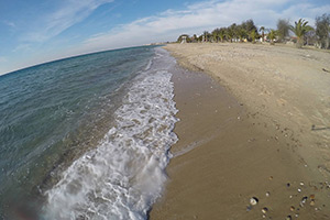 Apartments Dimitra - Dionisiou Beach - Halkidiki - Greece