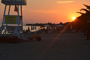 Apartments Dimitra - Dionisiou Beach - Halkidiki - Greece
