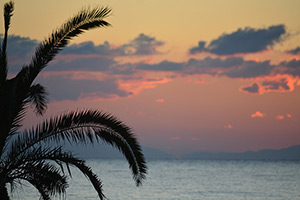 Apartments Dimitra - Dionisiou Beach - Halkidiki - Greece