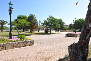 Apartments Dimitra - Dionisiou Beach - Halkidiki - Greece