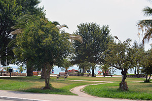 Apartments Dimitra - Dionisiou Beach - Halkidiki - Greece