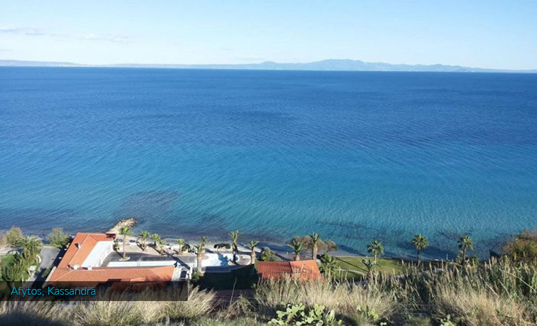 Apartments Dimitra - Halkidiki - Greece