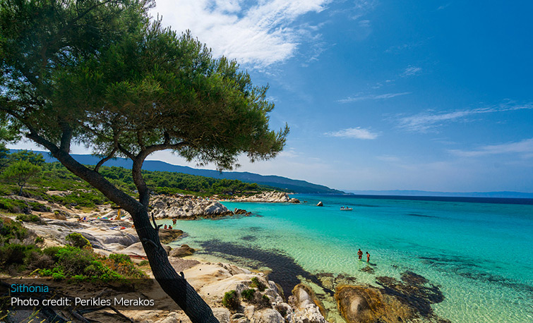 Apartments Dimitra - Halkidiki - Greece