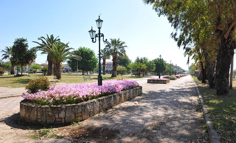 Apartments Dimitra - Dionisiou Beach - Halkidiki - Greece
