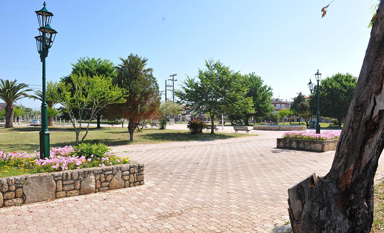 Apartments Dimitra - Paralia Dionysiou - Halkidiki - Greece